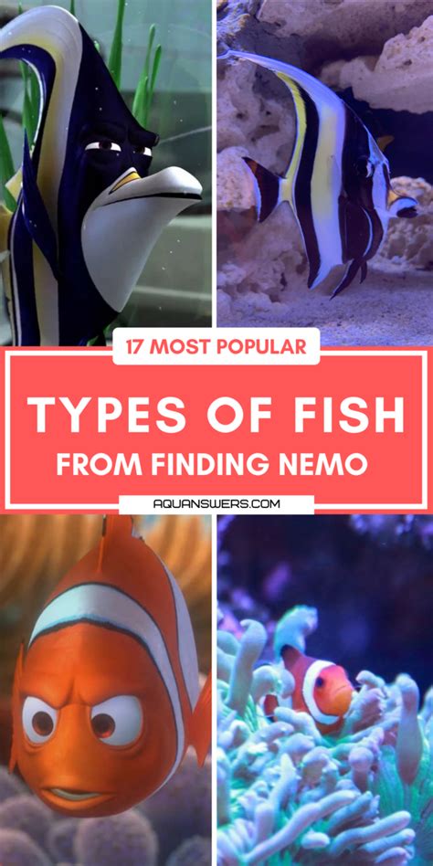 17 Types of Fish From Finding Nemo (With Info & Pictures).